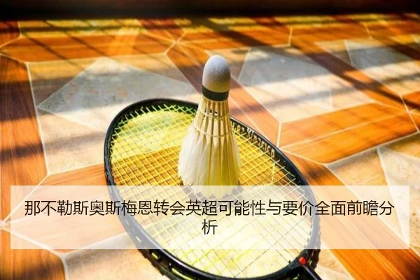 那不勒斯奥斯梅恩转会英超可能性与要价全面前瞻分析